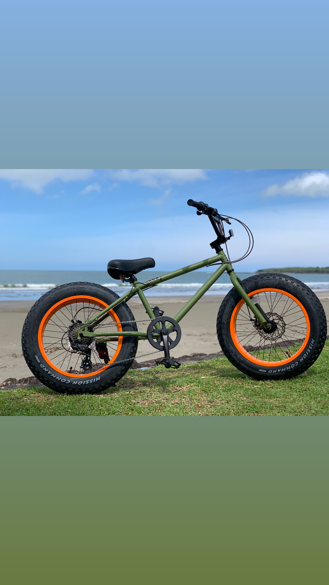 Rental bike 20inc Orange×Green 20 × 4.0
