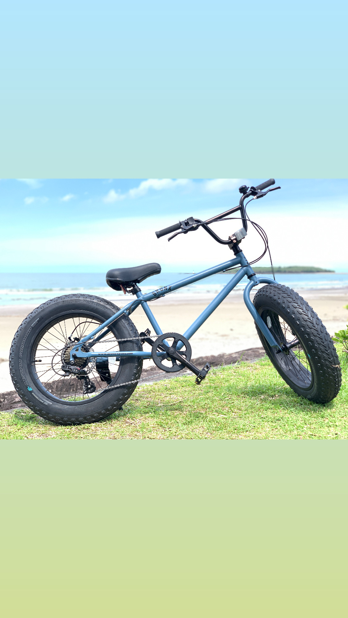 Rental bike 20inc Gray × Blue Another side