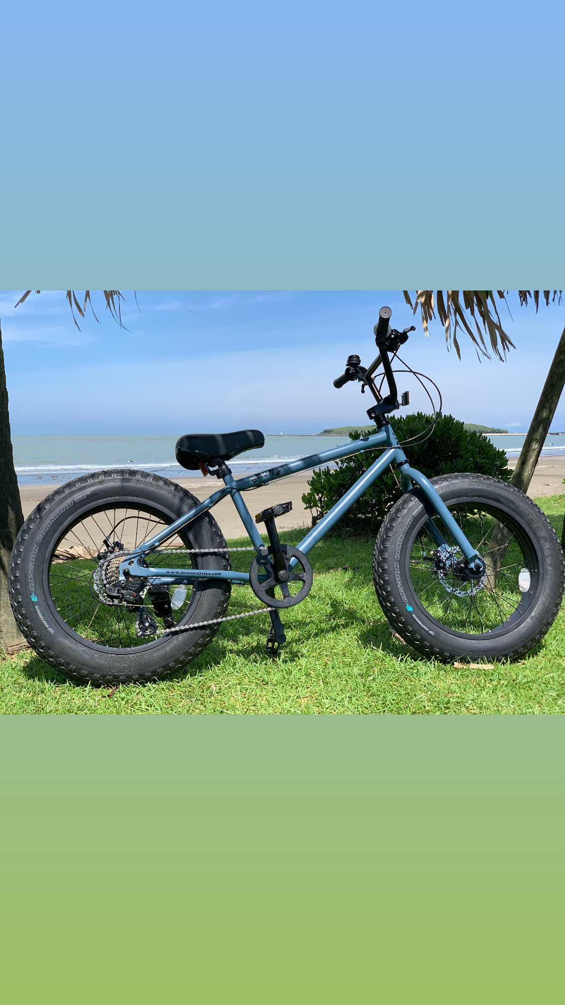 Rental bike 20inc Gray × Blue 20 × 4.0