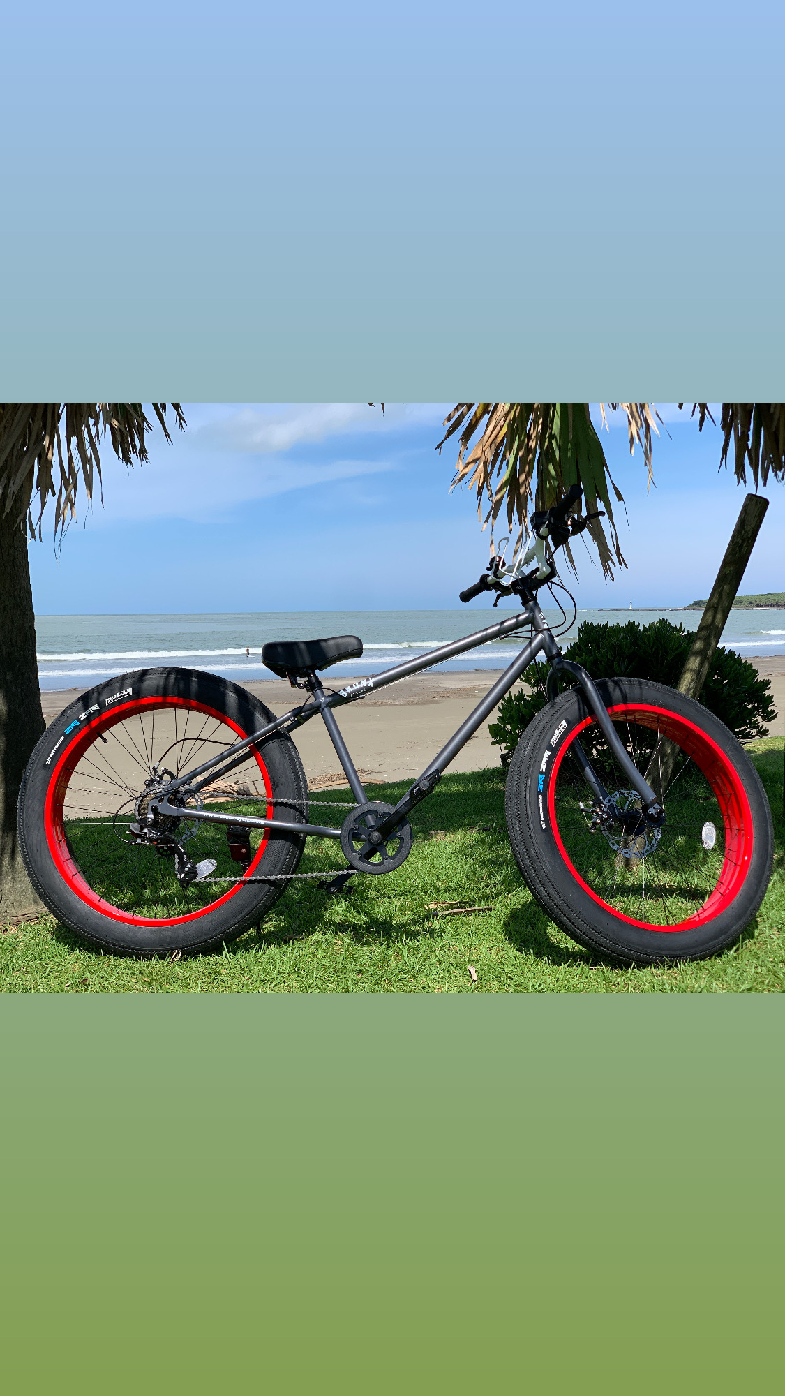 Rental bike 26inc Grey×Red 26 × 4.0